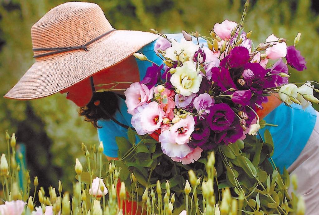 Lilies and lavender Doylestown PA 18901 2153457282 Flowers